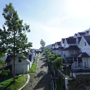 Hotel Mirth And Resorts ***